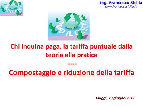 Pdf Chi Inquina Paga La Tariffa Puntuale Dalla Teoria Alla