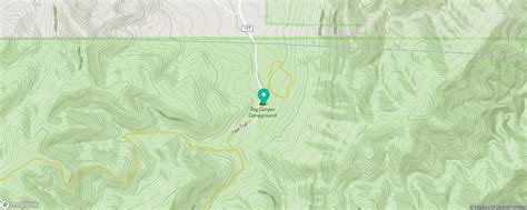 Dog Canyon Campground — Guadalupe Mountains National Park Pine