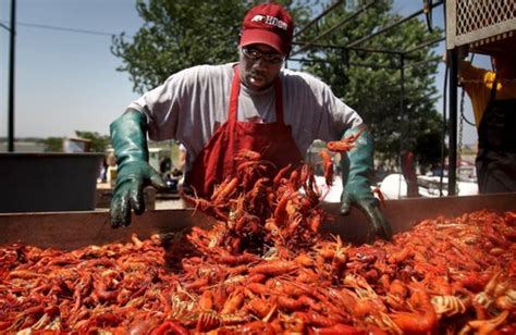 A ‘rajun’ cajun celebration – The Lodge