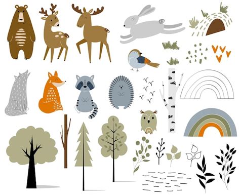 Premium Vector | Woodland Animals Set