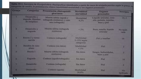 Erysipelothrix Spp Ppt Descarga Gratuita