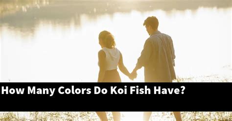 How Many Colors Do Koi Fish Have? [2024 Guide] - Gold Koi Fish