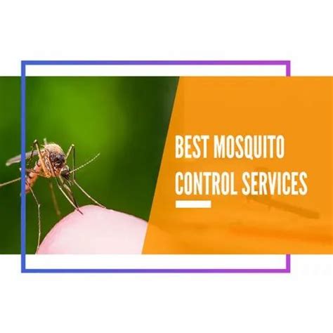 Mosquito Control Pest Control Services At Rs 599visit In Gurgaon Id