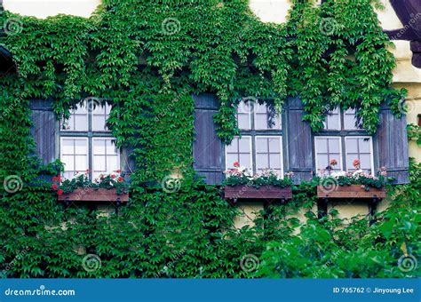 Scenery Of Ivy Growing On House Stock Photography Image 765762