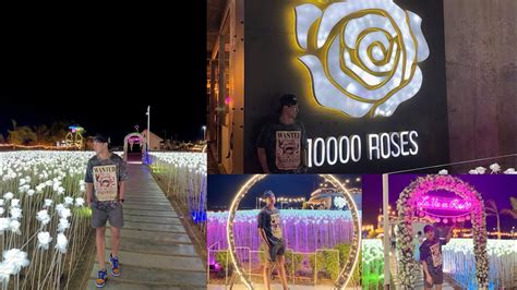 Exploring 10000 Roses Café And More In Cordova Cebu 🌹 Youtube