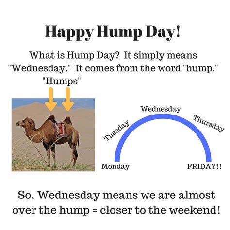 Learn What Hump Day Means And Which Day Of The Week It Is English