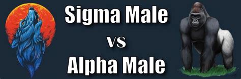 Sigma Males vs Others – Journal of a Real Sigma Male