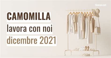 Camomilla Lavora Con Noi Posizioni Aperte A Dicembre 2021