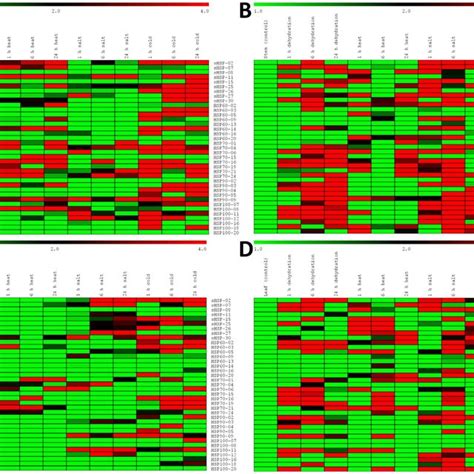 Spot Assay Of Yeast W303 Cells On Sd Ura Basal Medium Growth Of Download Scientific Diagram