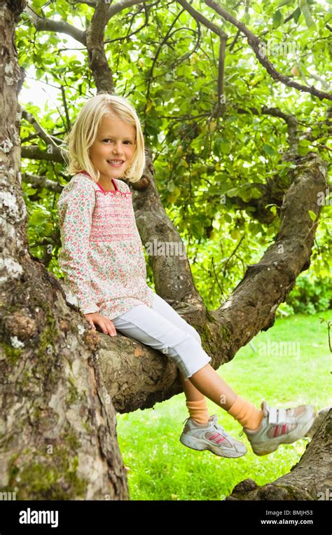 Baum Mit 4 Jahreszeiten Fotos Und Bildmaterial In Hoher Auflösung Alamy