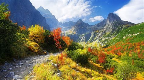 Thanksgiving Wallpapers: Autumn Scenery Wallpaper, Autumn Nature ...