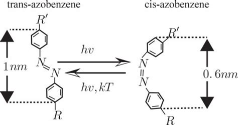 Schematic Representation Of The Photo Chemical Isomerization Between