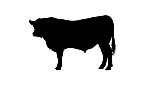 Cow Decal Cow Life Decal Cow Sticker Bull Decal Cute Cow Decal Bovine ...