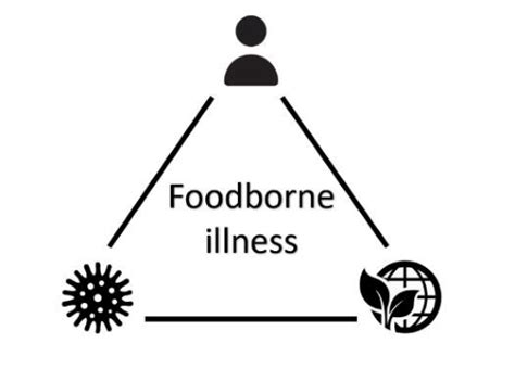 The epidemiology triangle. | Download Scientific Diagram