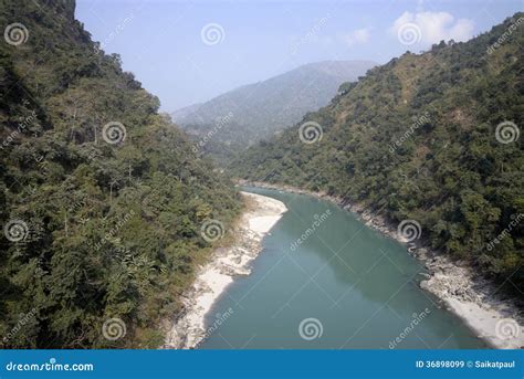 River Tista stock image. Image of plant, tista, green - 36898099