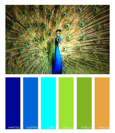 The Peacock Bride {Color Palette Monday} | Peacock color dress, Color ...