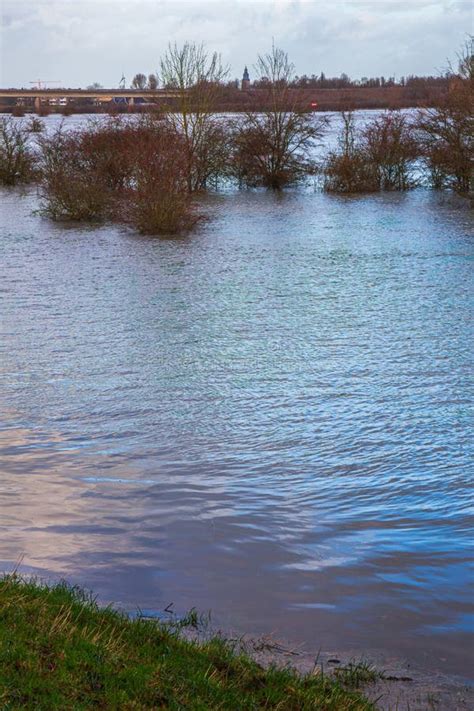 Flooded Floodplains Of The Dutch River IJssel Near Zutphen Stock Image