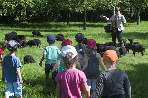 Rencontres destinées aux enseignants Écomusée de la Bintinais Rennes