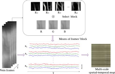 Figure From A Finger Vein Liveness Detection System Based On Multi