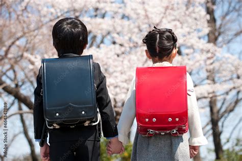 桜と新入学のランドセルの小学生男女の後姿 Stock 写真 Adobe Stock