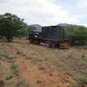 Rhino Conservation South Africa | AfricaHunting.com