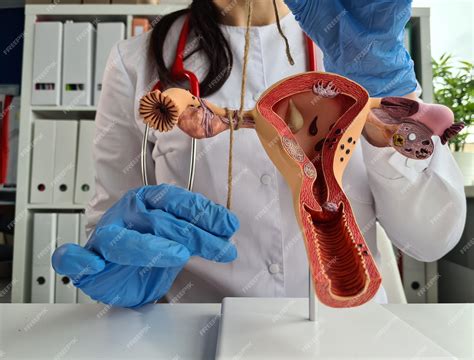 Врач-гинеколог перевязывает фаллопиевы трубы на примере расположения ...