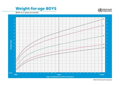 Grafik Pertumbuhan Anak Terlengkap Begini Cara Membacanya