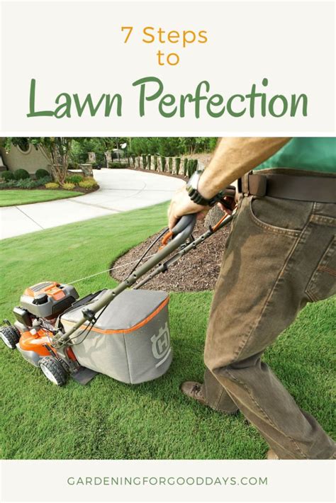 Seven Steps To Lawn Perfection Lawn Care Lawn Lawn Care Tips