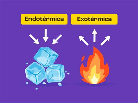 Reações Endotérmicas E Exotérmicas Diferenças E Exemplos Toda Matéria