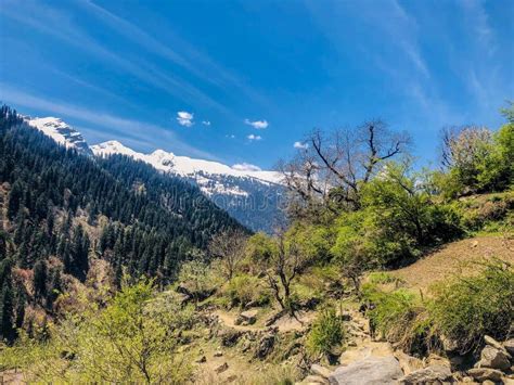 Amazing Trekking View Dhanaulti Kanatal Mountains Uttarakhand Stock ...