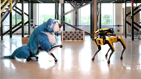 Sparkles El Nuevo Perro Robot De Boston Dynamics Que Parece Un Dibujo