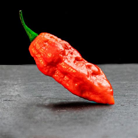 Насіння перцю Привид (Ghost) червоний – купити онлайн на ROZETKA