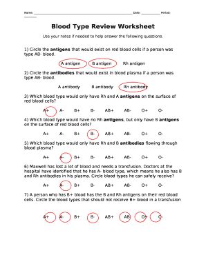 Blood Type Worksheet Answers