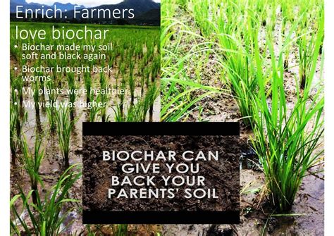 Biochar Basics