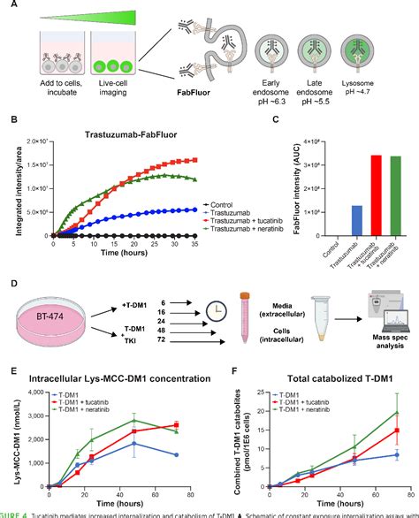 Figure From Her Selective And Reversible Tyrosine Kinase Inhibitor