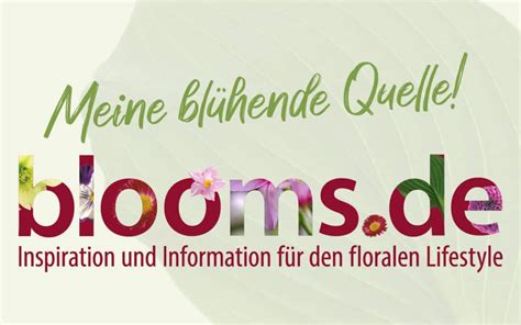 Startseite Blooms De