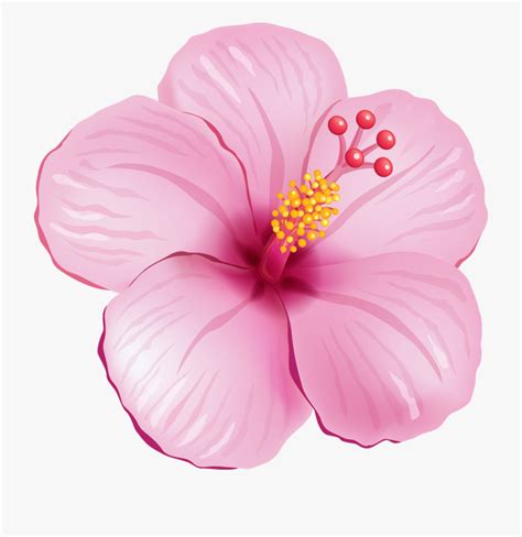 Free Tropical Flowers Cliparts, Download Free Tropical Flowers Cliparts ...