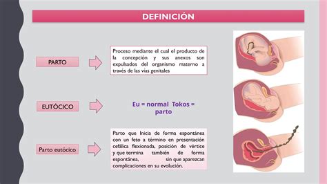 Parto Eut Cico Trabajo De Parto Est Tica Fetal Ppt