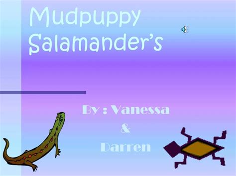 PPT - Mudpuppy Salamander s PowerPoint Presentation, free download - ID:283752