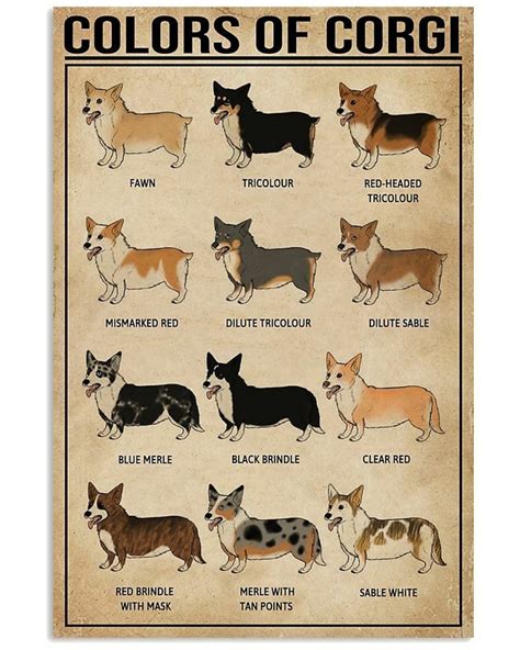 Color Of Corgis Unframed Poster12x17 Inches Etsy