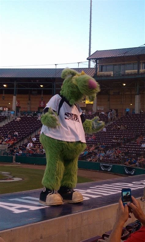 Thunder! The mascot for the Lake Elsinore Storm. | Team mascots, Mascot, Lake elsinore storm