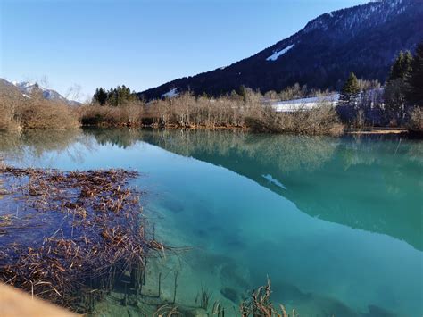 Zelenci natural reserve - Erratic engineeress