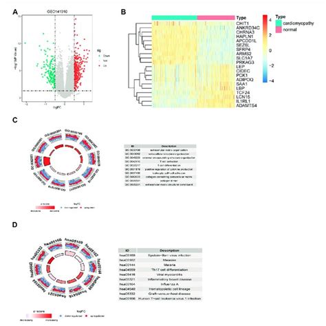 Identification And Functional Enrichment Analysis Of Degs Between The