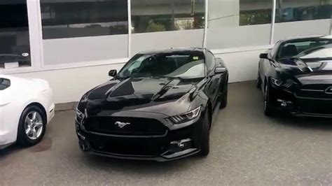 2015 Mustang Ecoboost Vs V6 Vs Gt Review Of Options Youtube