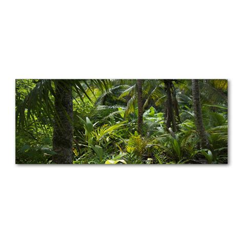 Bay Isle Home Tropical Forest Wrapped Canvas Art Prints Wayfair Co Uk