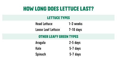 Types Of Lettuce Chart