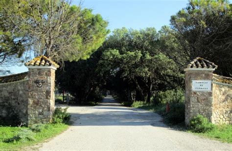 Entrada al Cortijo El Pedroso SAN JOSE DEL PEDROSO Cádiz