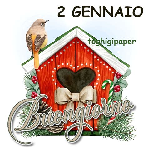 Buongiorno Gennaio Toghigipaper