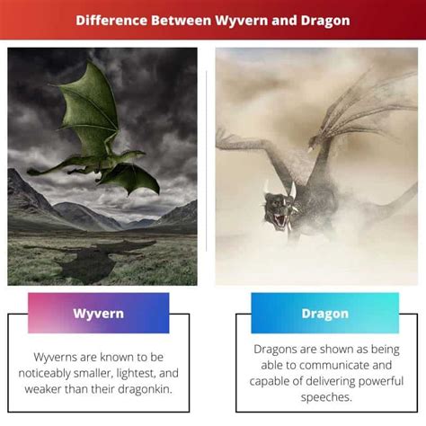 Wyvern vs Dragon: Difference and Comparison