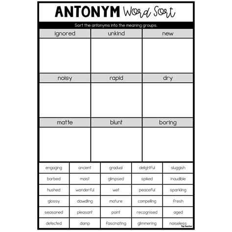 Antonym Word Sort Worksheet Top Teacher